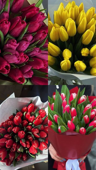 Тюльпан букет цветы