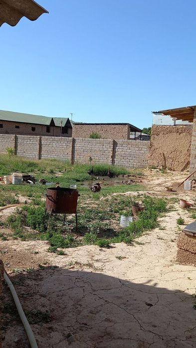 Yer sotiladi sotugi 8500$