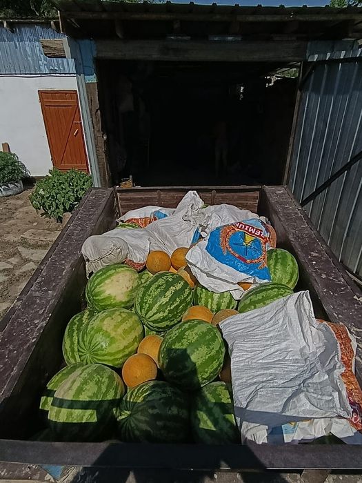 Қарбыз  Қауын сатылады !!
