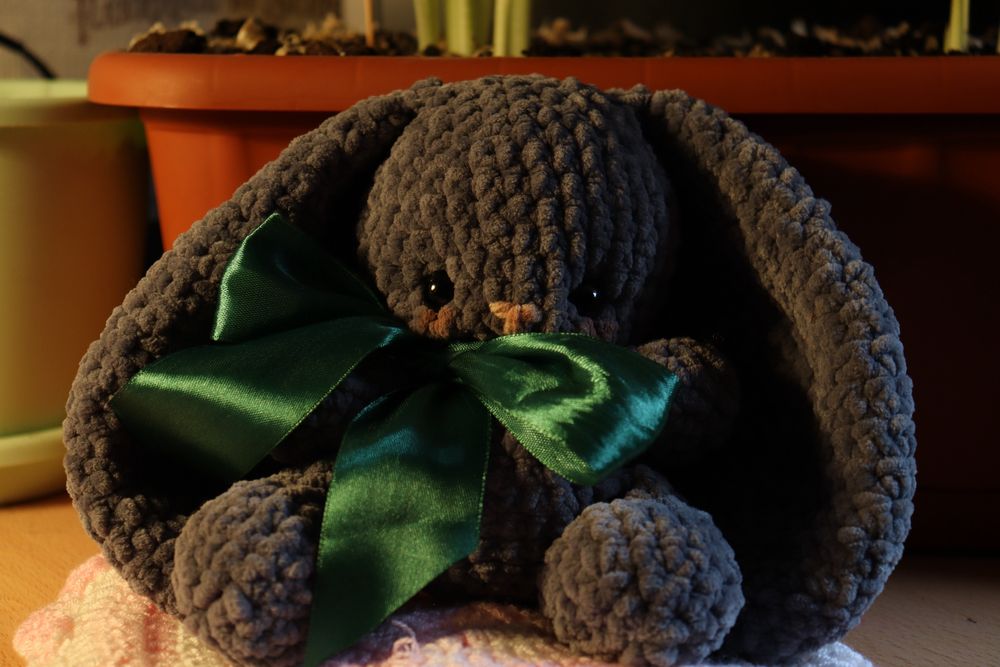 Камера Canon eos 250d