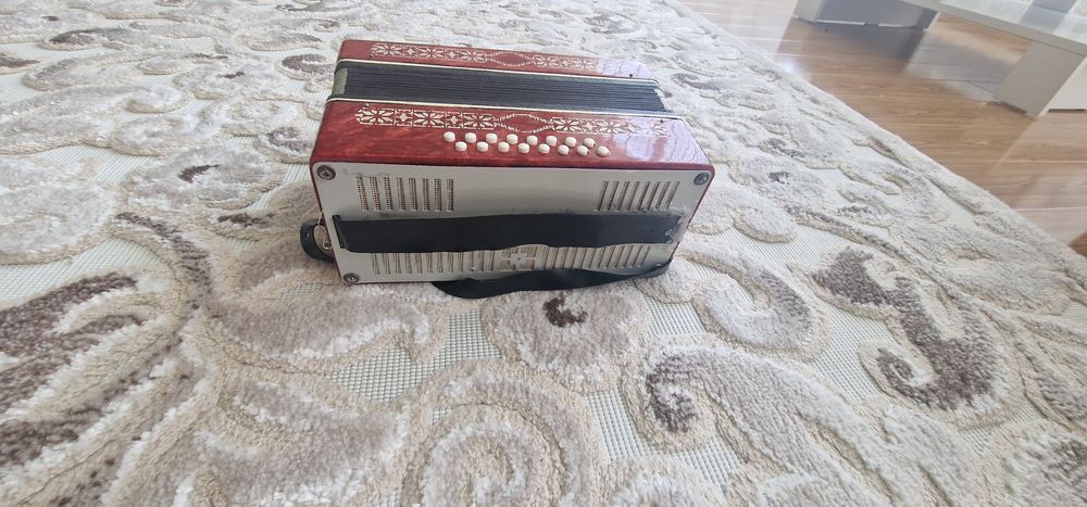 Vand acordeon mic copii/adulti