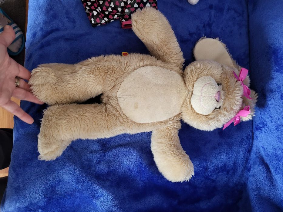 Urs plus buid a bear