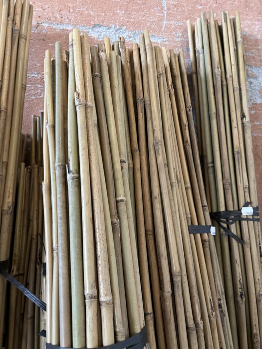 Бамбукови Колчета за Укрепване на Домати - Голямо намаление!