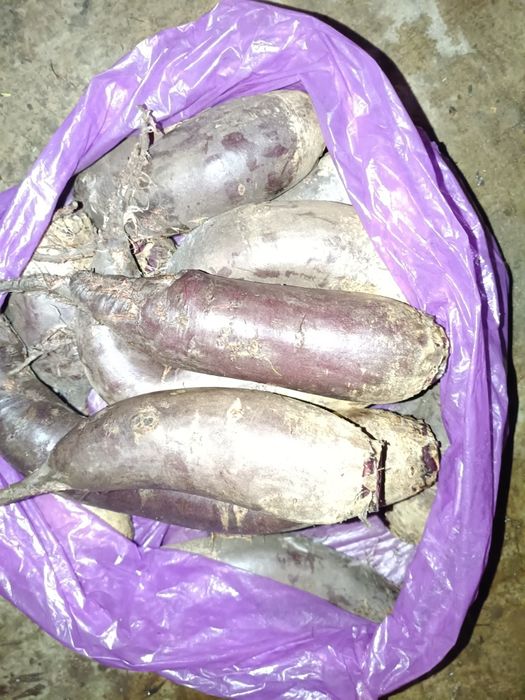 Продам свеклу домашнюю