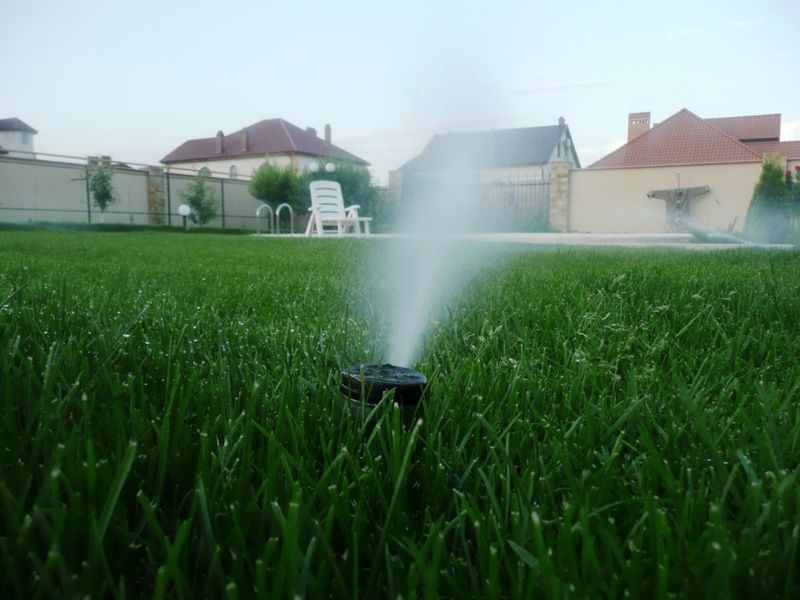 Газон и автополив