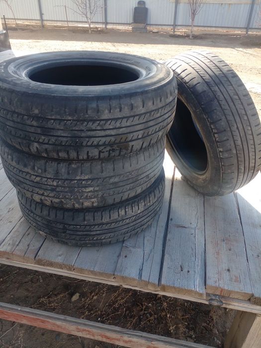 Triangle шины лето