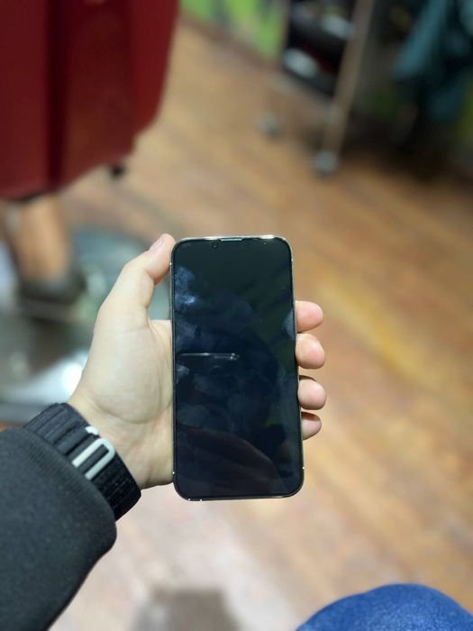 iPhone 13 Pro        .