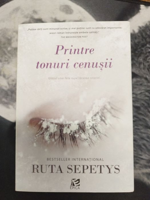 Printre tonuri cenușii