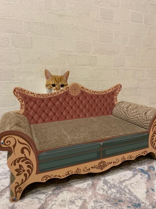 Срочно продам кота в хорошие руки