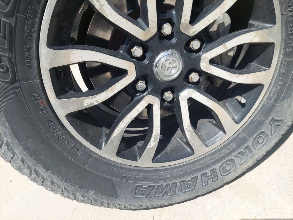 Пакришка летни бар