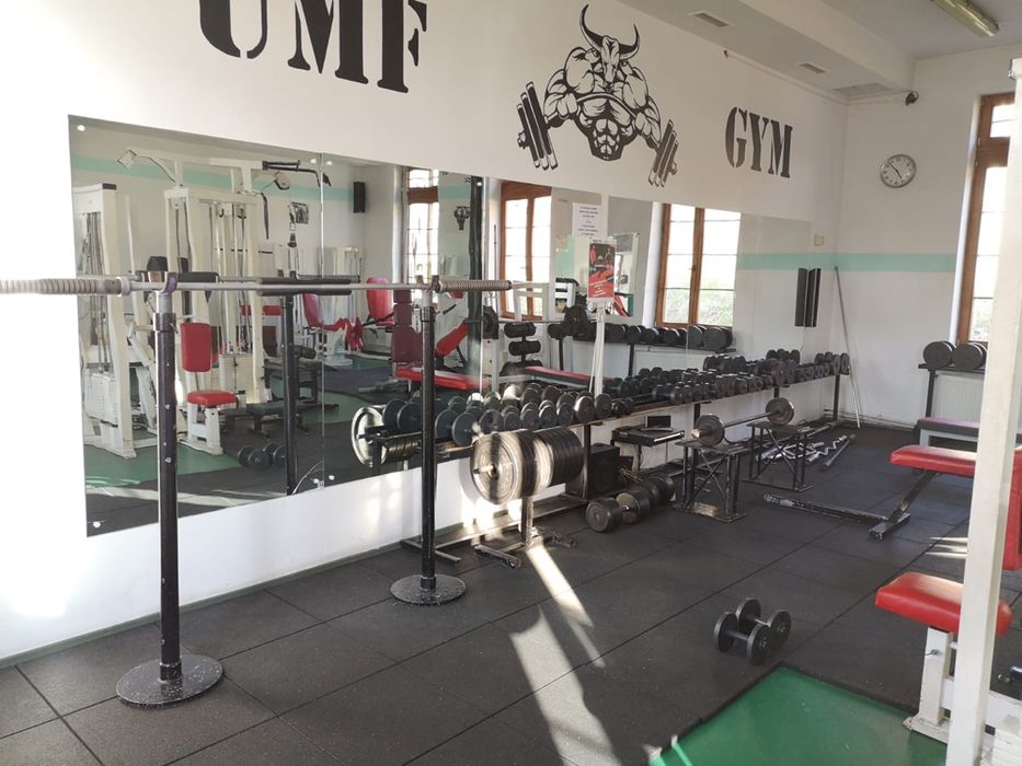 PRODUCATOR Pavele Dale de cauciuc pentru sali de Fitness