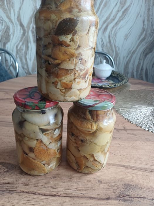 Продам соленья 2025 года