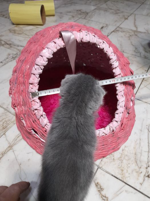 Къщи и фотьойл за котка и куче нови