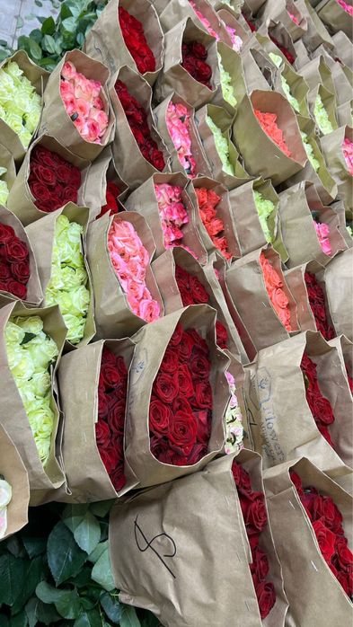 Сирень, розы, пионы все по оптовой цене