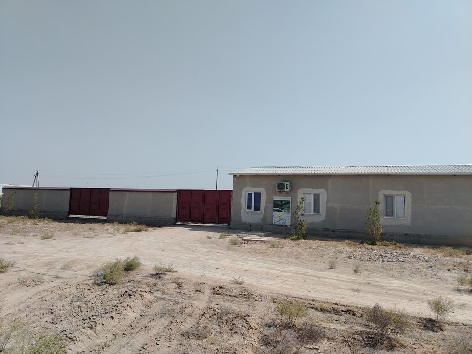 Таййор база безнеслари билан