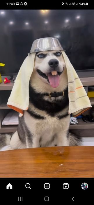 Продам от лупарика