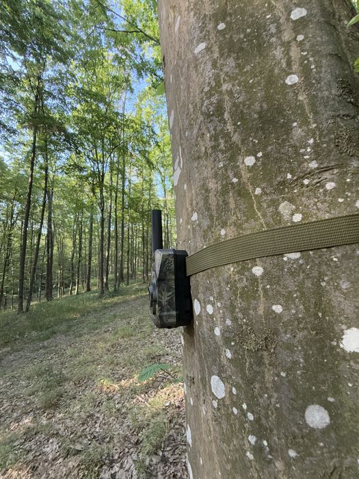 Camera vanatoare Forestvision live Alpha 4G cu GPS si transmitere libe