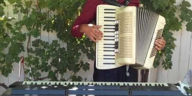 Acordeonist Lautar Nunta Petrecere Zona Tecuci Galati Vrancea