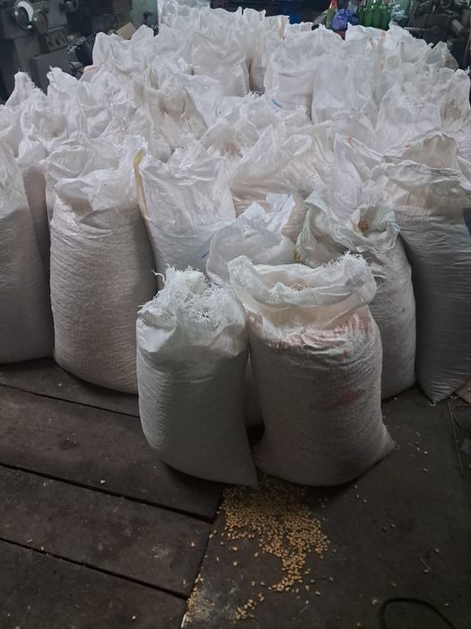 Vând boabe de porumb,1 leu kg 2026