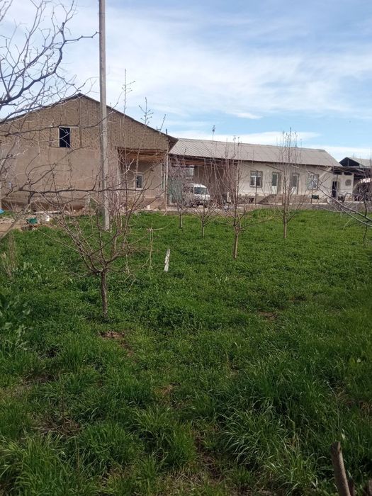 Уй Сотилади 10 сотих 80.000$ Ками бор