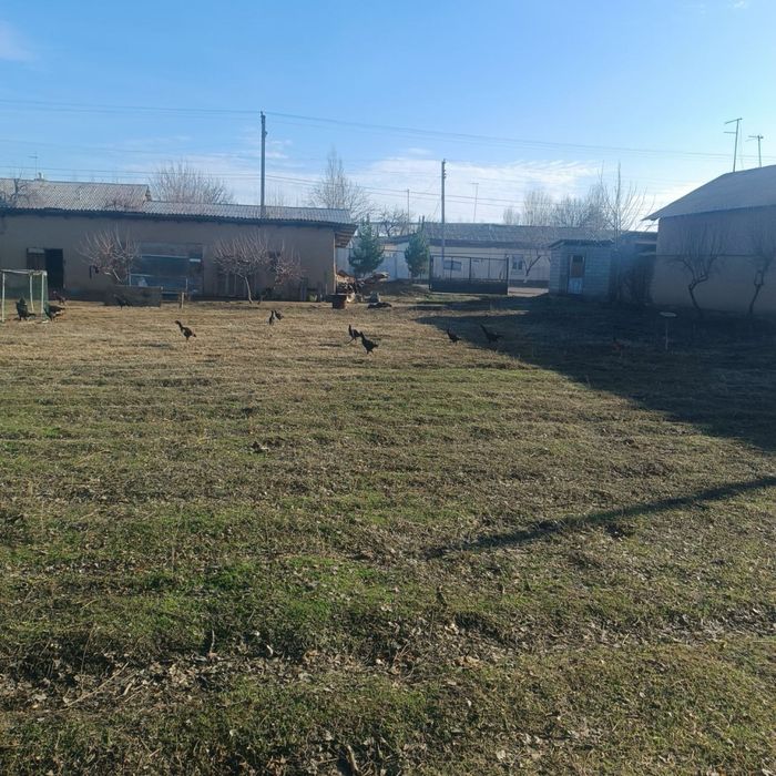 8 sotx  Bizness va qurilish uchun bo’sh yer!  Katta Yo’l yoqasida