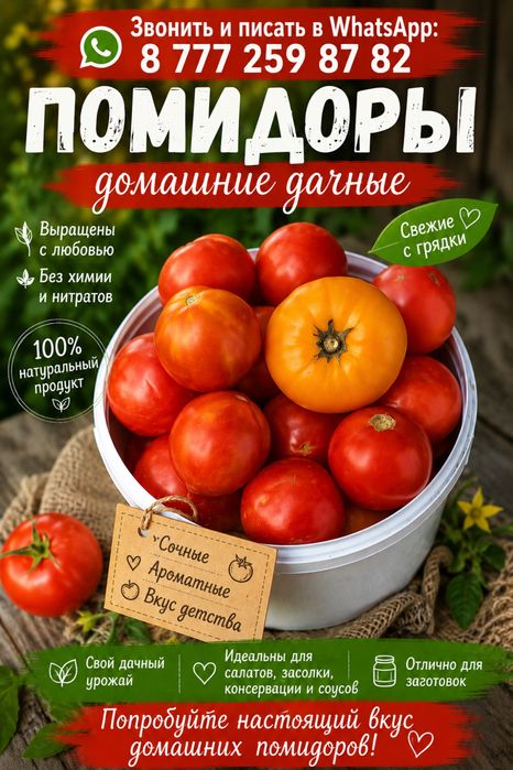 Помидоры дачные свежие 1кг 800