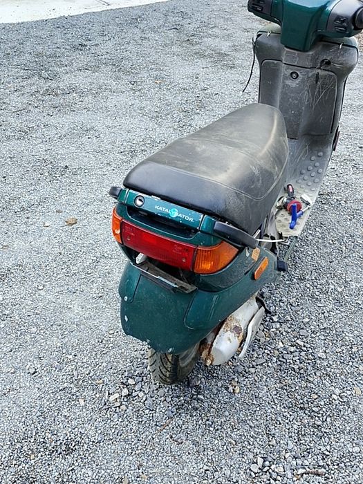 Moped Derby 50cm