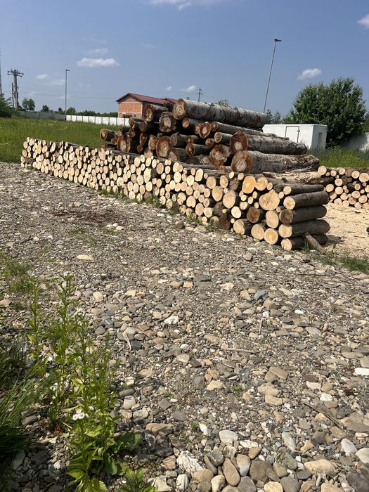 Lemne de foc esenta tare ( fag )