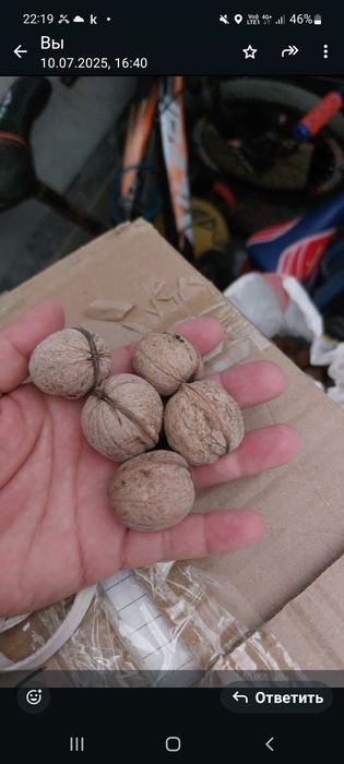 Греческие Орехи продам