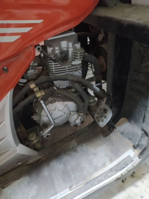 Murave sotiladi hechqancha yurmagan