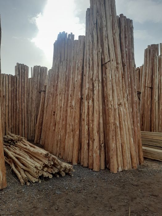 Terak to'sin maxsulotlari optim N_1