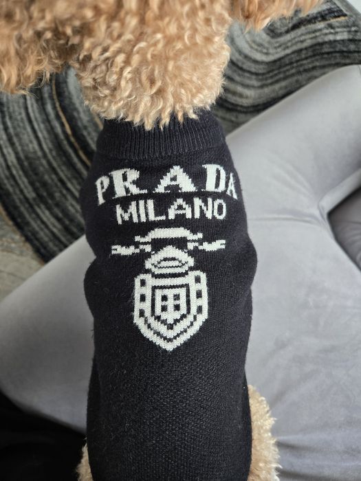 Кучешки пуловер Prada