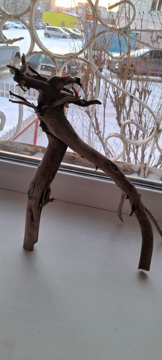 Коряга в аквариум