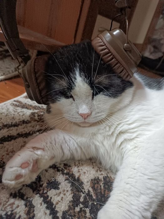 Продам наушники.