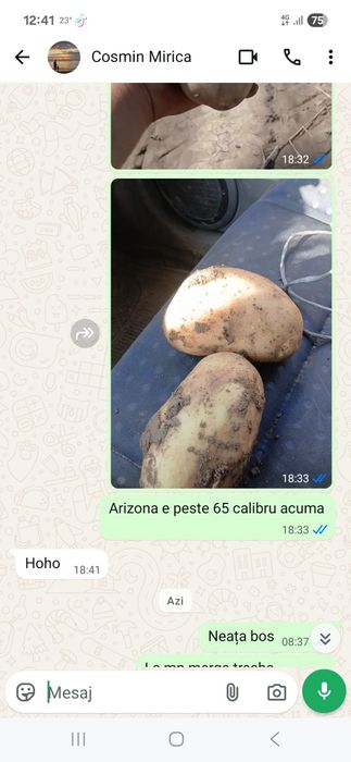 Cartofi albi si rosu