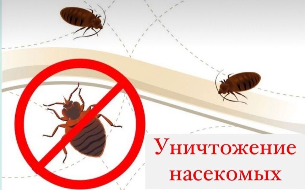 Клопы ,тараканы  .СЭС. Результат  .