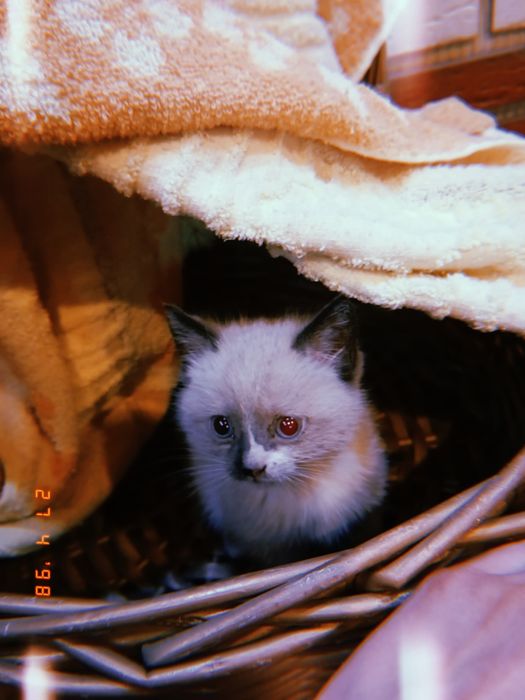 Два пацана красавчики