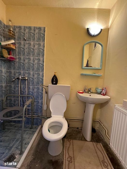 Casa 50 mp + teren 1.500 mp, front stradal 25 m – Urisor