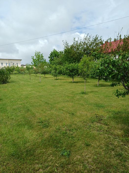 Casă 6 camere, teren 1,500 mp – Valea Lupului