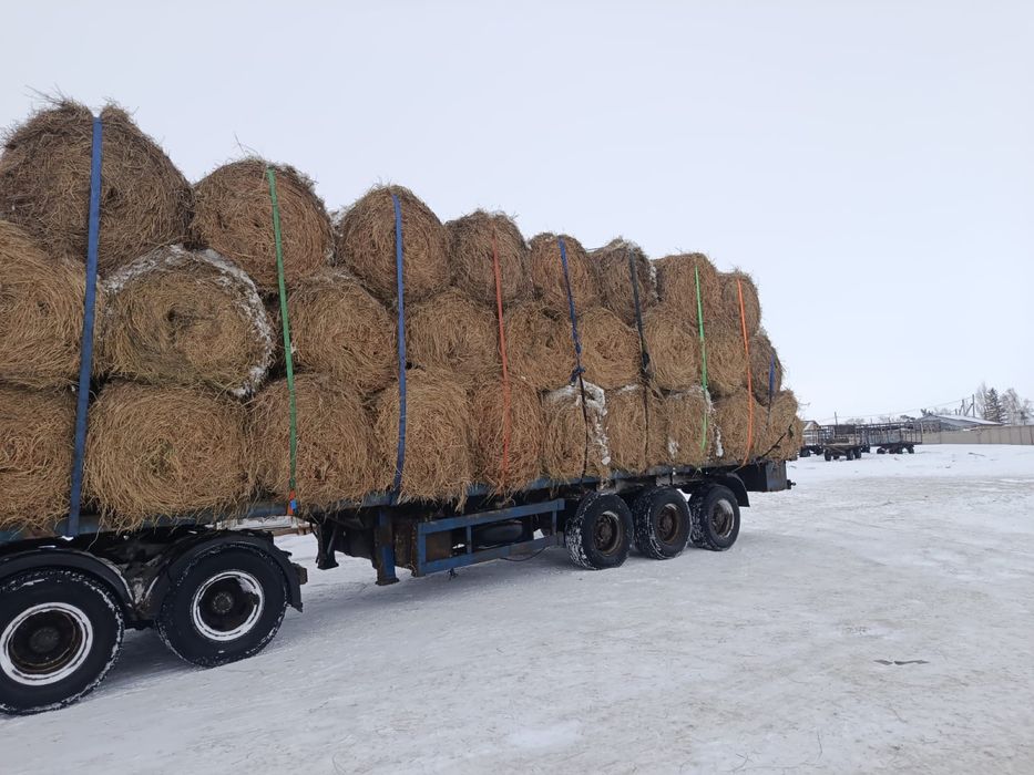 Продам Сено рулоннах