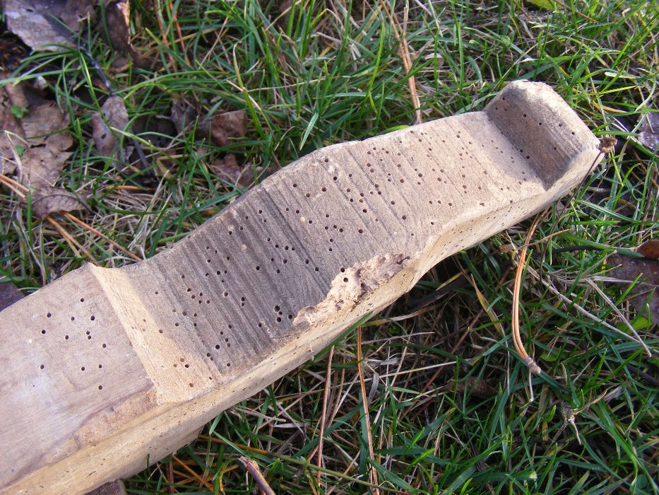 части от волска каруца