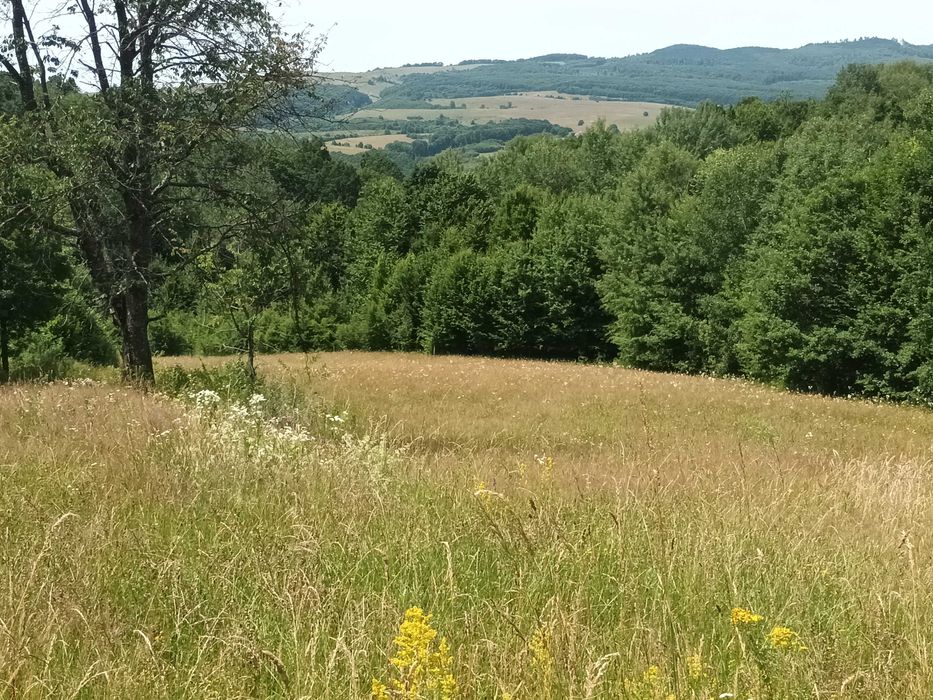 Teren in Capet, Sovata 2500mp