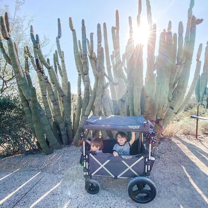 Коляска тележка Keenz 7S