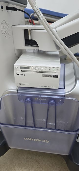 Ecograf Mindray Resona I9