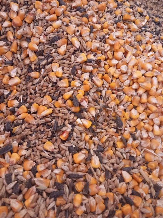 Uruială Granulată pentru pui,găini, curcani, porci,viței, iezi și miei