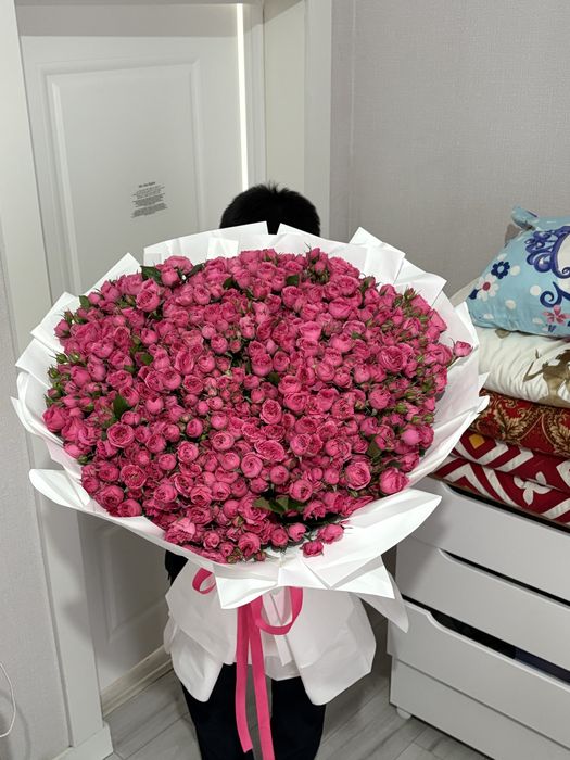 Кустовых роза, Срочно