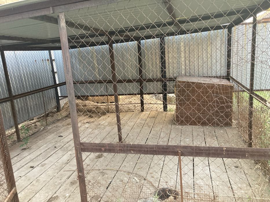 Вольер для собаки