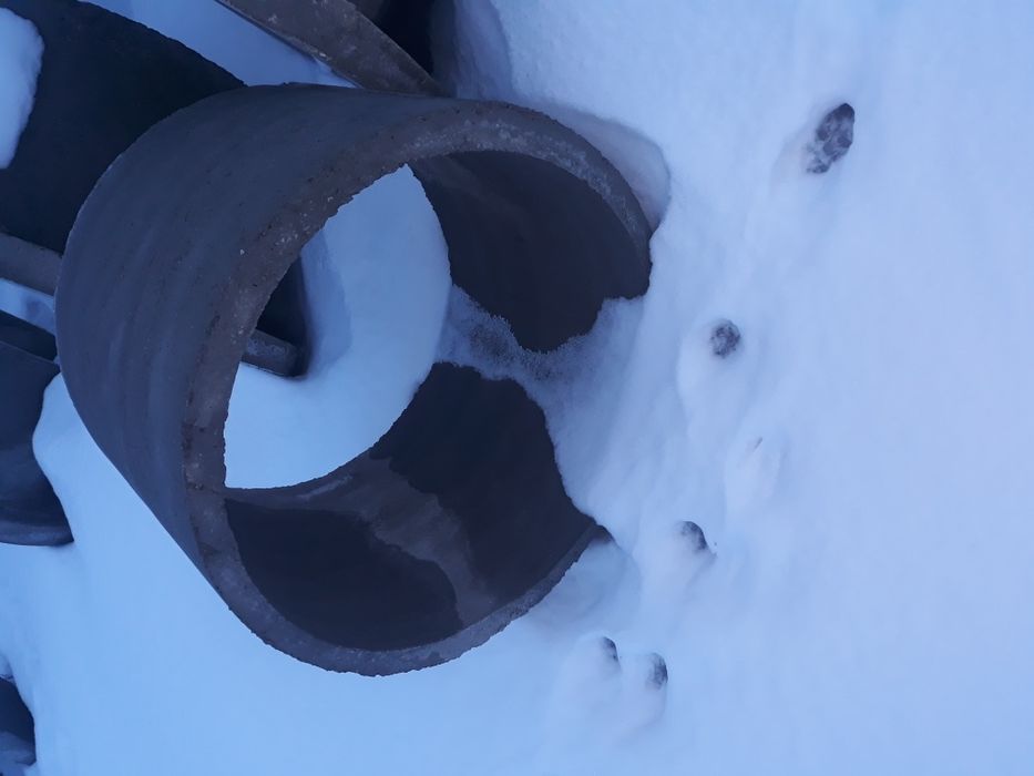 Execut Fantani mecanizat