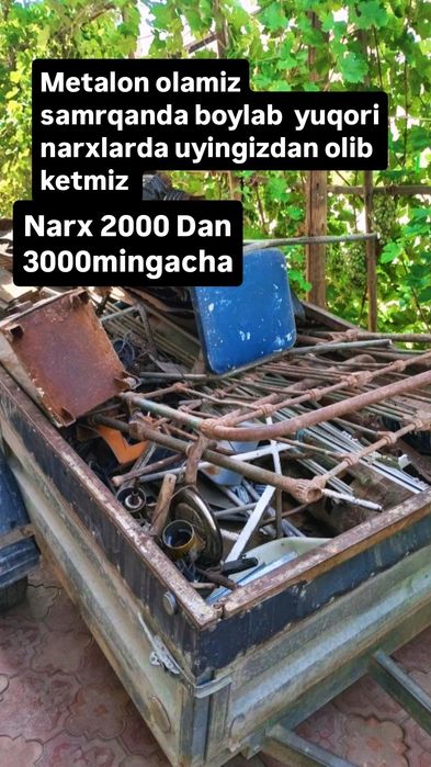 Metalom olamzi samrqand boylab