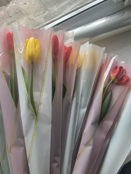 Тюльпаны по 700-800 тг